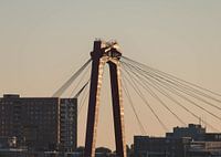 The Willemsbrug