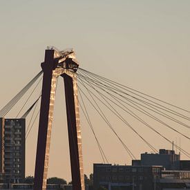 De Willemsbrug van Mr. Rotterdam