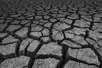 de droogte