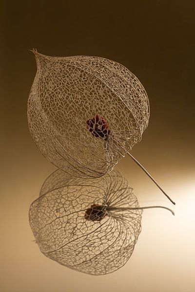 The lantern with warm gold and brown colours by Marjolijn van den Berg