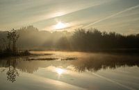 Nebliger Morgen entlang der Regge.