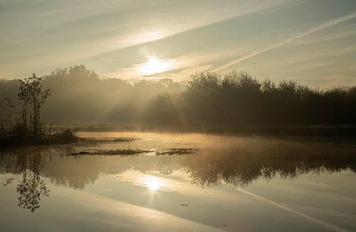 Mistige ochtend langs de Regge.