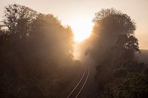 Reise ins Licht...