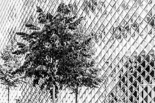 Glazen gevel van Futurium Berlijn zwart-wit