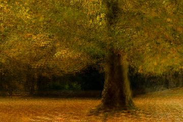 Herfstboom in Nederland van Marjolijn Maljaars