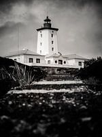 Phare II