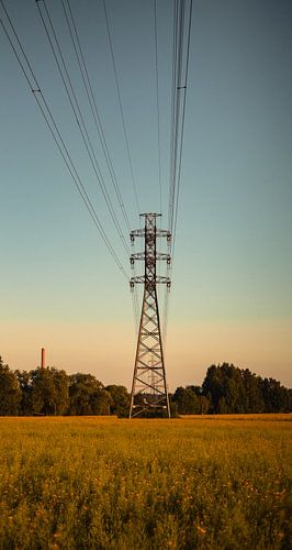Power Lines over a Golden Field – Evening Light & Horizon