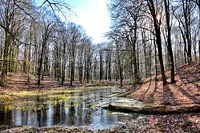 Het Solse Gat - winter color Putten Holland