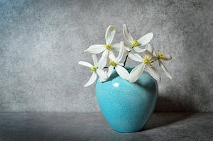 Stilleben mit Clematisblüten