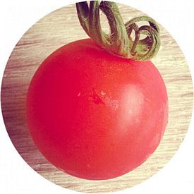 pomodorosa  Profilfoto