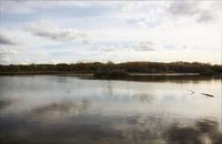 Renbaanveld