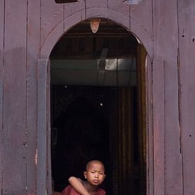 Monnik in Myanmar van Carolien van den Brink