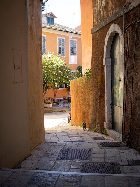 Die Katze ist eine Gasse von Korfu-Stadt von Teun Janssen