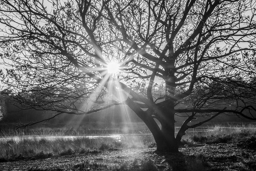 Hope brings life by Sjors Gijsbers