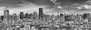 Beeindruckendes Panorama aus Tokio | monochrom