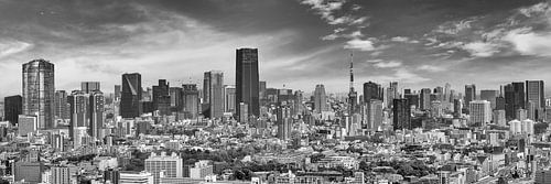 Indrukwekkend panorama van Tokio | monochrom