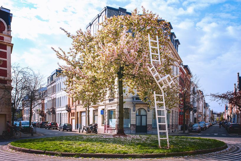 Blütezeit in der Stadt von Els F.