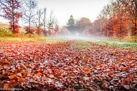 Autumn 2020