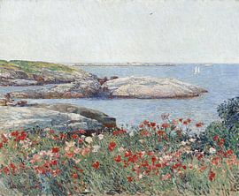 Mohnblumen, Isles of Shoals, Childe Hassam