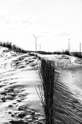 Zeeland, strand, rustiek