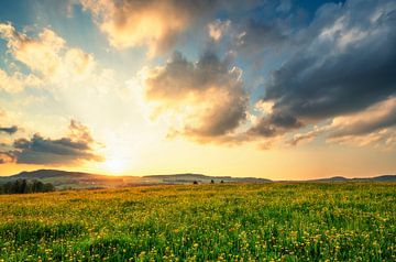 Weide in de lente bij zonsondergang van Andreas Föll