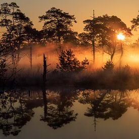 Lever de soleil au Pietzmoor près de Schneeverdingen sur Horst Husheer