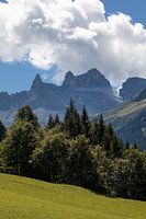 Uitzicht in het Silbertal
