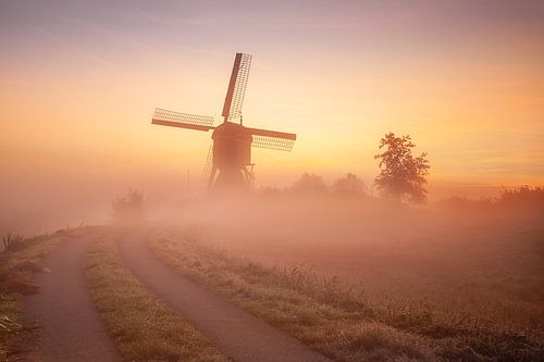 Warm light on a cold morning