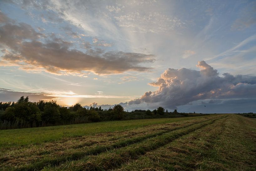 Abendstimmung am Deich von Rolf Pötsch