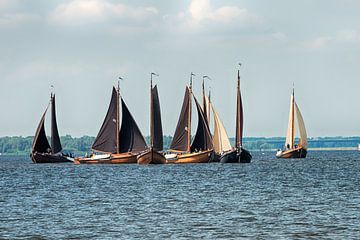 Botters op het Eemmeer.