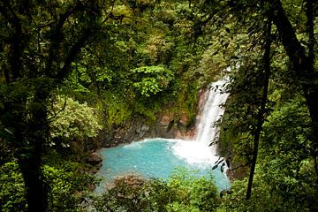 Tenorio, Costa Rica von Peter Schickert