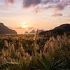 Paarse zonsondergang op het eiland Cát Bà - Ha Long Bay, Vietnam van Thijs van den Broek