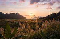 Paarse zonsondergang op het eiland Cát Bà - Ha Long Bay, Vietnam van Thijs van den Broek thumbnail