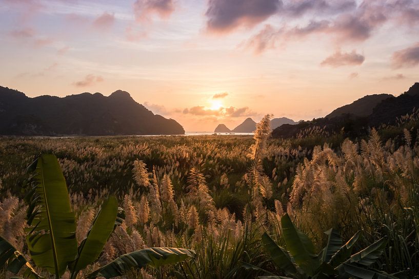 Paarse zonsondergang op het eiland Cát Bà - Ha Long Bay, Vietnam van Thijs van den Broek