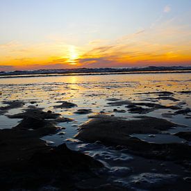 JASV Photography photo de profil