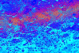 mars lava explosion von cees vermeulen windsant