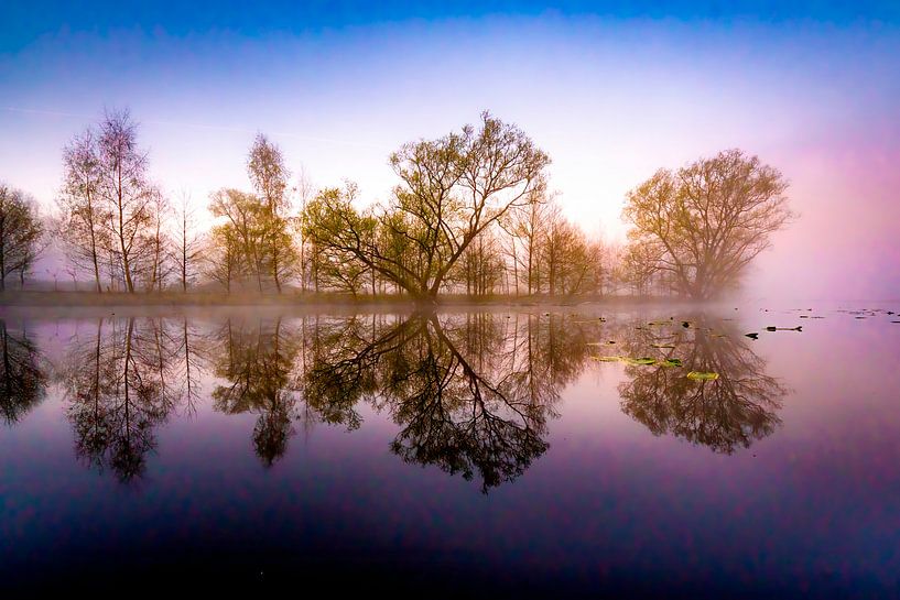 Zonsopkomst in de kreek van Sam Mannaerts