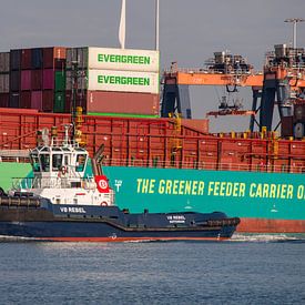 Der Schlepper VB Rebel ist auf dem Weg! von scheepskijkerhavenfotografie