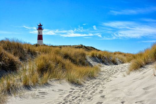 Dunes of Sylt by Joachim G. Pinkawa