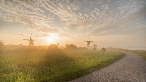 Kinderdijk op een mistige morgen