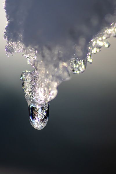 Crystal-clear icicle drop welcomes spring by Your Happy Life