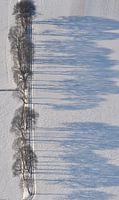 Winterland