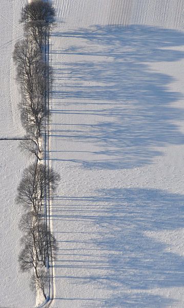 Winterland von Pieter Veninga