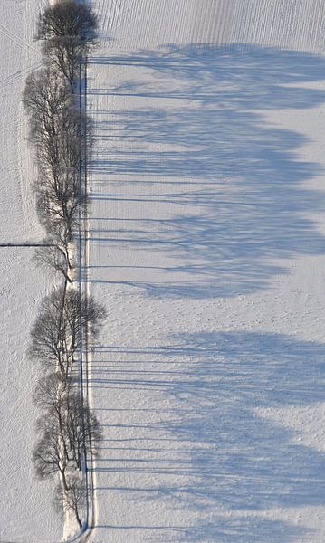 Winterland van Pieter Veninga