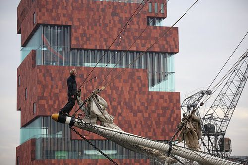 MAS Antwerpen sur René Lous