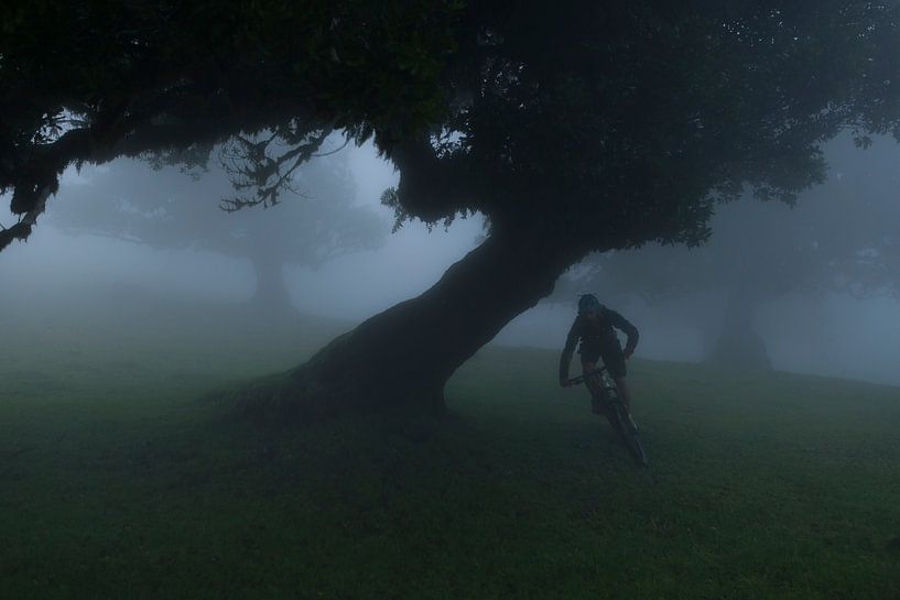 Mountain biking on Madeira by Frank Peters
