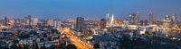 Panorama Rotterdam vanaf Erasmus MC van Ilya Korzelius thumbnail
