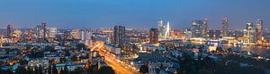 Panorama Rotterdam vanaf Erasmus MC van Ilya Korzelius