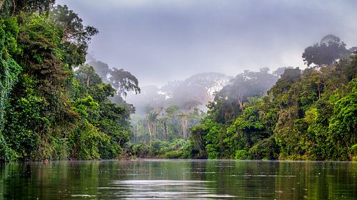 Rivière Suriname à Awaradam dans le brouillard au lever du soleil.