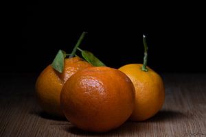 Trio tangerines by Maikel Brands